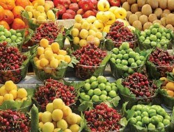 تفاوت قیمت میوه از میادین تا سطح شهر + قیمت‌ها