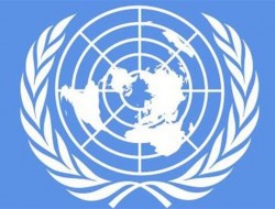سازمان ملل خواستار اقدام فوری برای از بین بردن «نژادپرستی ساختاری» در آمریکا شد