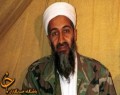 كشف فيلم هاي مستهجن در خانه بن لادن
