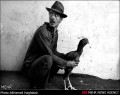 گزارش تصویری / خروس باز  <img src="/images/picture_icon.gif" width="16" height="13" border="0" align="top">