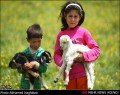 گزارش تصویری / زندگی عشایر آذربایجان در دامنه کوه سهند  <img src="/images/picture_icon.gif" width="16" height="13" border="0" align="top">