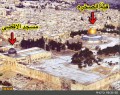 از رازهاي مسجدالاقصي چه می دانید؟+عکس