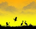 جـلوه هایی از زیبـایی های غـروب خورشیـد/گزارش تصویری