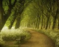 قدم بر جاده های رویایی  <img src="/images/picture_icon.gif" width="16" height="13" border="0" align="top">