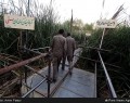 نمایشگاه آبی خاکی در شیراز  <img src="/images/picture_icon.gif" width="16" height="13" border="0" align="top">