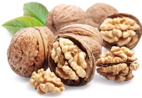 گردو یکی از آجیل هایی است که به شما کمک می کند تا خیلی سریع و طبیعی چاق شوید