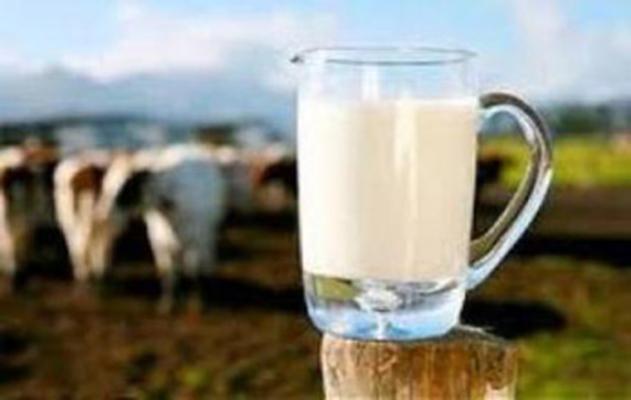 د شیرپرچرب تمام خواص شیر را دارد و گزینه مناسبی برای افرادی است که می خواهند چاق شوند