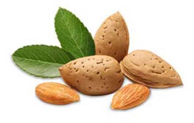 بادام سرشار از ویتامین های مختلف و همچنین مبارز بیماری های عصبی است بادام نیز می تواند به افراد لاغر کمک به سزایی کند