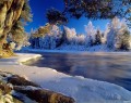 تصاویر زیبا از طبیعت برفی