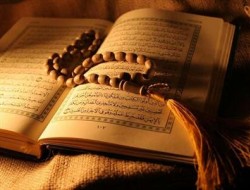 سوره گولخوردگي