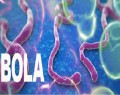 آیا مشاهده مورد مشکوک به ابولا در تهران صحت دارد؟