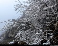 تصاویری ناب از مناظر زمستانی اطراف آمل