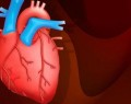 ساخت مدل سه بعدی قلب در ایران