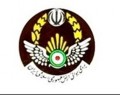 نیروی هوایی ارتش پرواز غیرعادی هواپیمای میگ۲۹ در تهران را تکذیب کرد