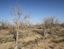 بیداد بی‌آبی در سرچشمه‌ کارون، زاینده‌رود و دز