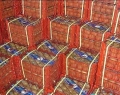 خبرسازی علیه توسعه صادرات ایران به ترکمنستان و روسیه/ افزایش چشم‌گیر صادرات ایران در ماه‌های اخیر