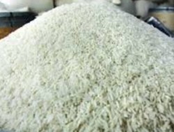 عرضه برنج ایرانی در سامانه “بازرگام” در کرمانشاه/ پیگیر عرضه گوشت قرمز منجمد هستیم