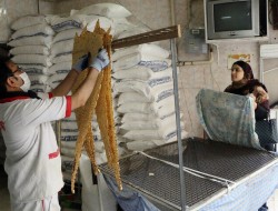 فرماندار پاوه: تاخیر در توزیع آرد نانوایی ها پذیرفتنی نیست