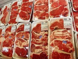 کاهش قیمت‌ در بازار گوشت در گرو مدیریت واردات