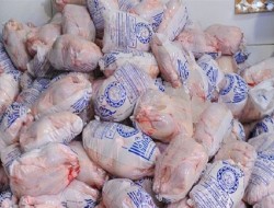 توزیع گوشت مرغ منجمد تنظیم بازار در کرمانشاه آغاز شد