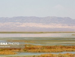 باران به کمک منابع آبی نیامد/آغاز مقابله با خشکسالی ۱۴۰۳