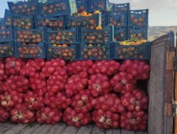 قاچاق پیاز در پوشش پرتقال