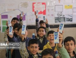 "شیر مدارس" کرمانشاه، زیر ذره‌بین تعزیرات