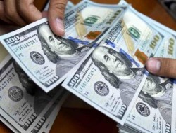 ثبات نسبی بازار ارز با وجود ۷ شوک‌ سیاسی در یک سال اخیر