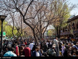 رشد جمعیت در کرمانشاه باید ۲ برابر شود