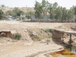 نشت تاسیسات نفت شهر، محیط زیست و آب‌ غرب کرمانشاه را آلوده کرد